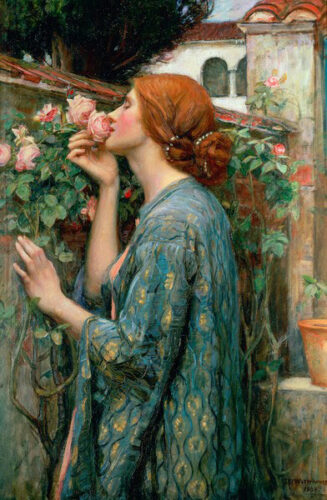 John william Waterhouse rose